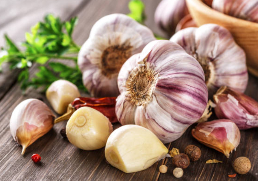 Garlic